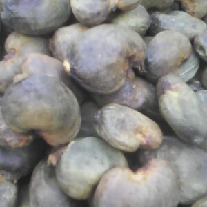 img 20200328 161556 (2)