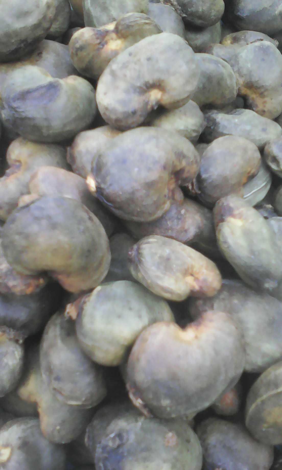 img 20200328 161556 (2) img 20200328 161556 (2)